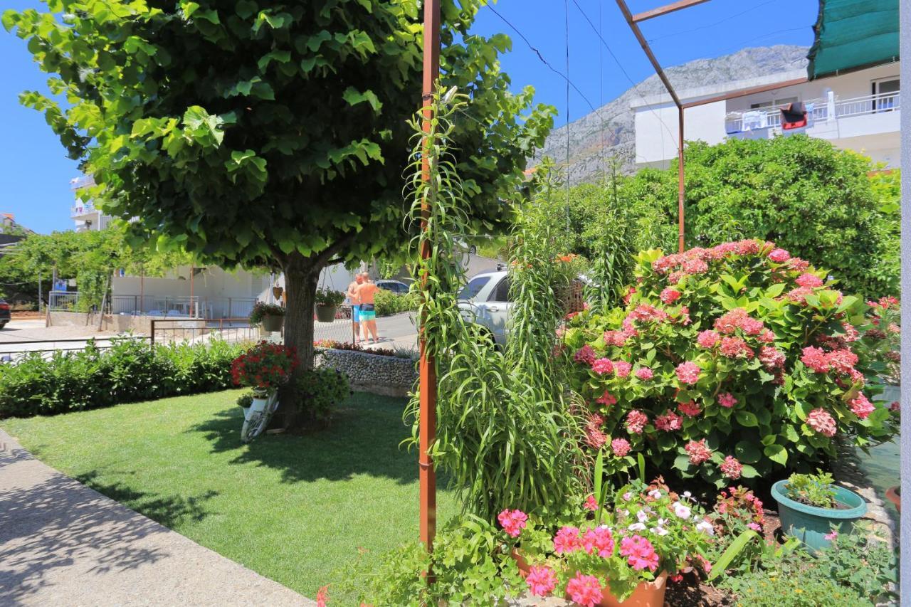 Apartments By The Sea Zivogosce - Blato, Makarska - 1057 Dış mekan fotoğraf