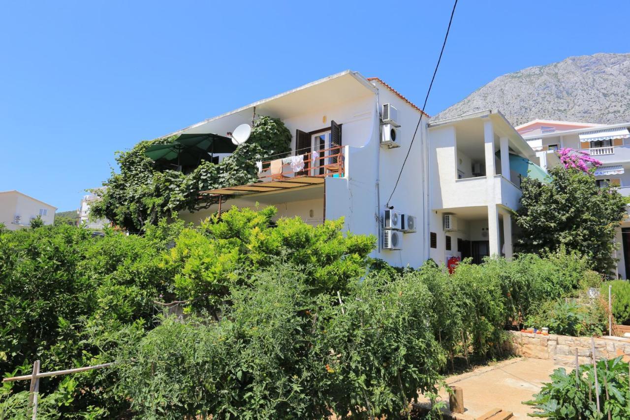 Apartments By The Sea Zivogosce - Blato, Makarska - 1057 Dış mekan fotoğraf
